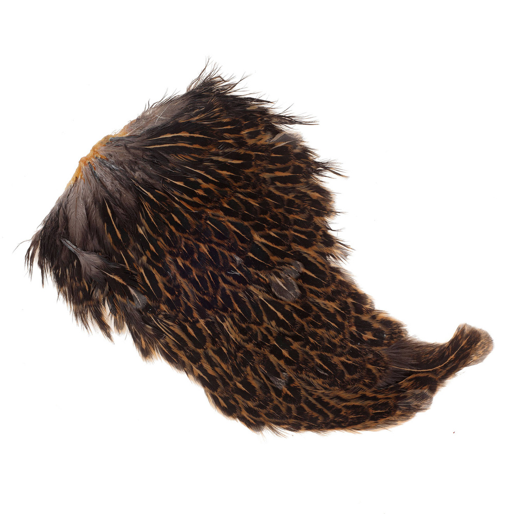 Dk. Brown
