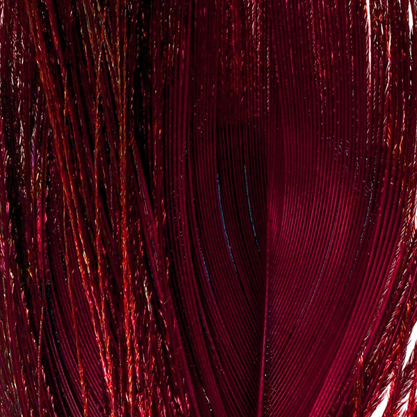 FFGene Sections teintées d’ocelles de plumes de queue de paon