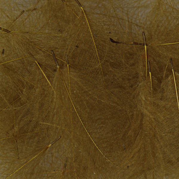 Hareline – plumes de cul-de-canard (CDC)