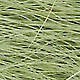 light olive