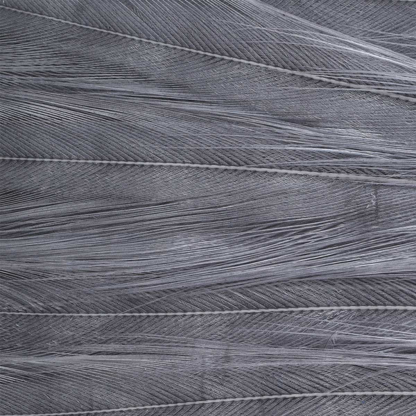 Ewing Wooly Bugger Saddle Patch Dyed