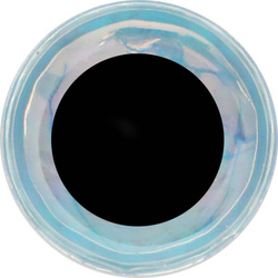 Yeux pour mouches FFGene Soft 3D- Eyes