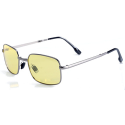 Lunettes polarisantes pêche Negnon Antlia