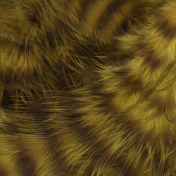 Hareline Plumes souples Grizzly pour hackle