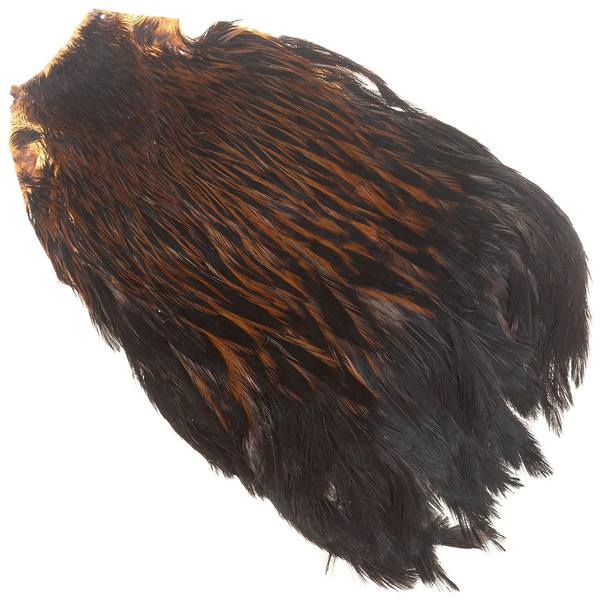 Cou de poule FFGene India