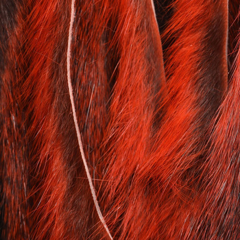 Hareline – peau entière d’écureuil des pins prédécoupée en fines lanières zonker