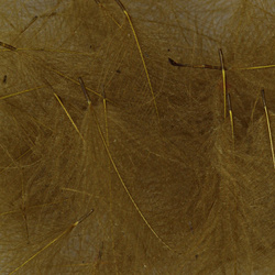 Hareline – plumes de cul-de-canard (CDC)