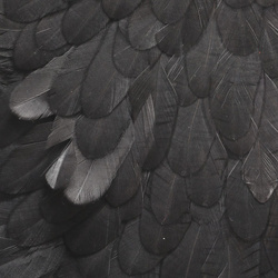 Hareline Hen Saddle