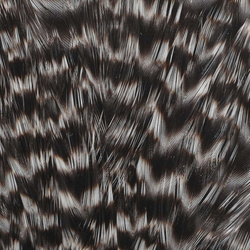 Wapsi Grizzly Hen Saddles