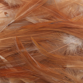 Wapsi Petit sachet de plumes de hackle de cou de coq