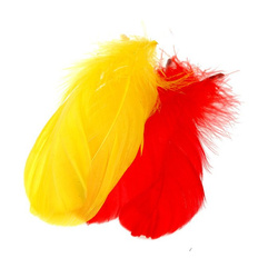 FFGene Plumes d’épaule d’oie
