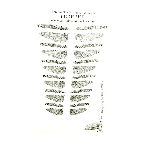 Paul Whitllock Close To Nature Hopper