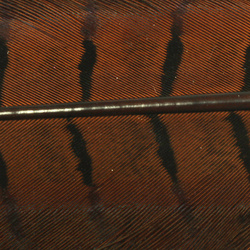 Hareline Touffe teinte de fibres de queue de faisan de Colchide