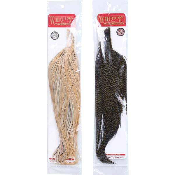 Cape de coq Whiting Bronze (1/2)
