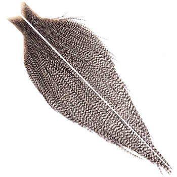 Cape de coq Whiting Bronze (1/2)