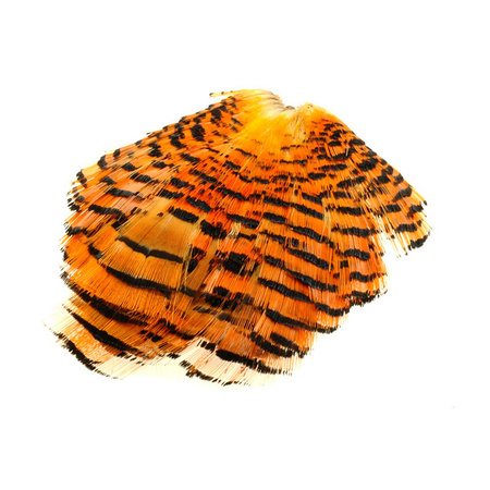 Goledn Pheasant Complete Tippet