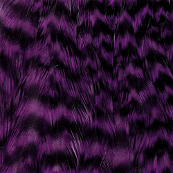 Wapsi Grizzly Hen Neck