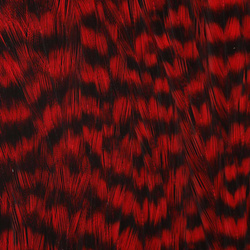 Ewing Grizzly Half Capes