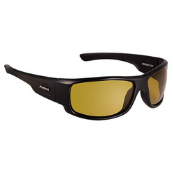 Lunettes polarisantes pêche Aqua Minnow