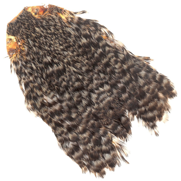 Cou de poule FFGene India