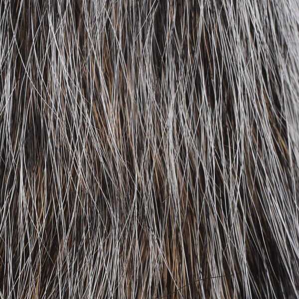 Hareline – poils de queue d’écureuil gris