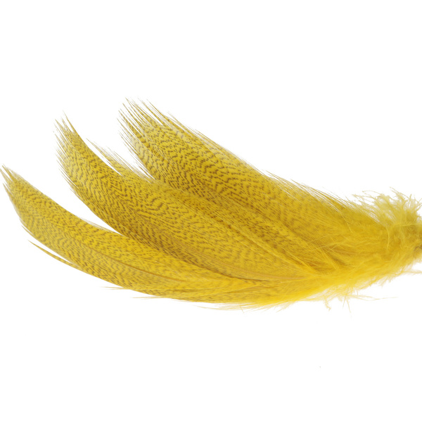 Hareline plumes de flanc de canard colvert