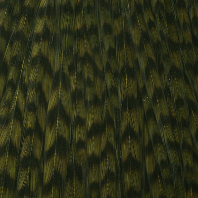 Over Grizzly - Olive