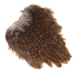 FFGene India Hen Speckled Saddles