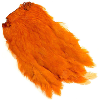 Cou de poule entier Wapsi