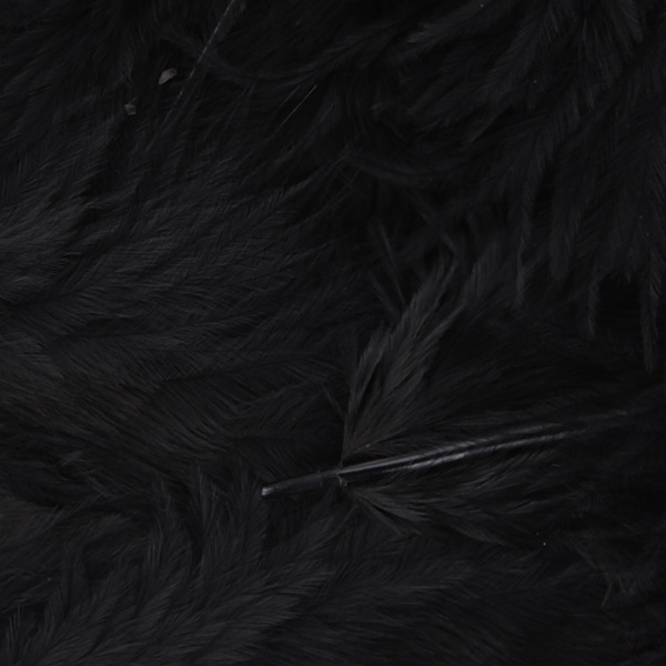 Hareline Plumes souples Grizzly pour hackle
