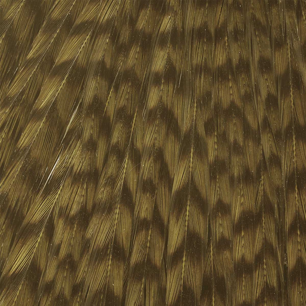 Ewing Top Capes Dyed