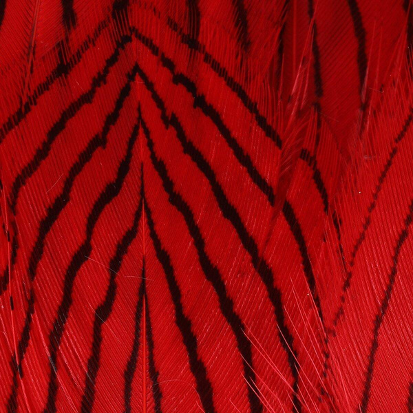 Hareline Plumes de corps de faisan argenté