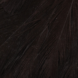 Wapsi Salmon Hen Neck