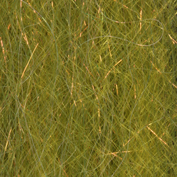 H2O Steve Farrar SF Blend