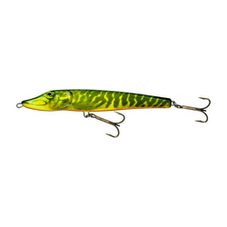 Salmo Jack