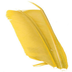 Spirit River UV2 – biots de dindon