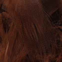 Hareline plumes de flanc de canard colvert
