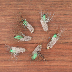 T.B. Elk Boddy Pipping Caddis