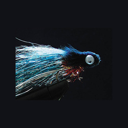 Yeux pour mouches FFGene Audiable Eyes