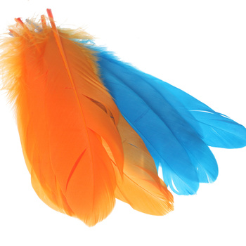 Hareline plumes d’épaule d’oie sélectionnées