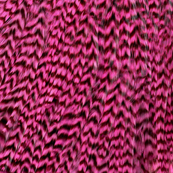 Ewing Grizzly Whole Saddles