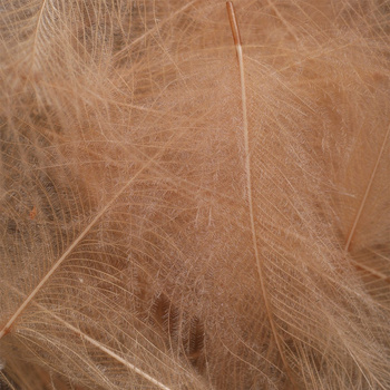 Spirit River UV2 – plumes de CDC Select