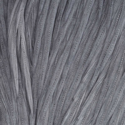 X-Small - Medium Dun