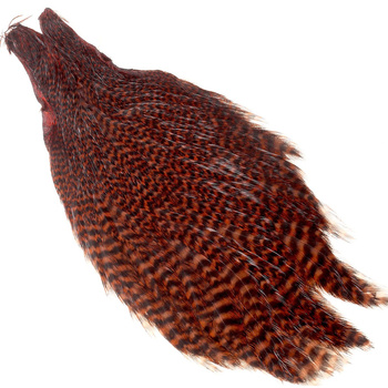 Cape de poule Wapsi Grizzly