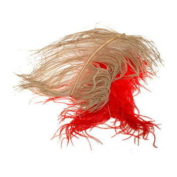 Wapsi Plumes d’autruche