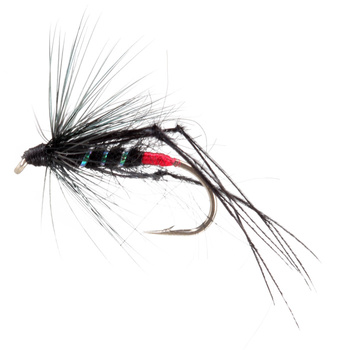 Bristol Hopper Black Red