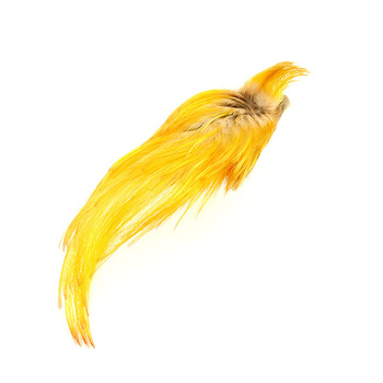 Wapsi Plumes de huppe de faisan doré