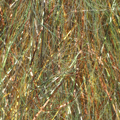 Golden Olive UVR / 30