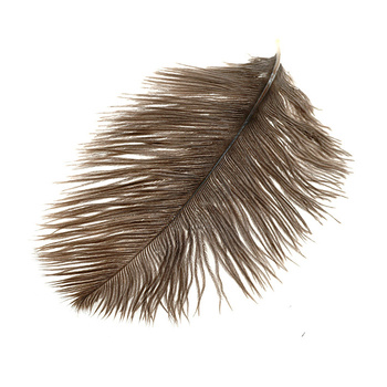 Wapsi Petites plumes d’autruche