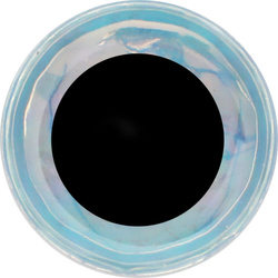 Yeux pour mouches FFGene Soft 3D- Eyes